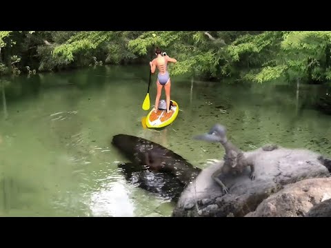 Видео: 🔥 Такое Увидишь Только Раз В Жизни! Редкие Случаи 1 На Миллиард Снятые На Камеру!
