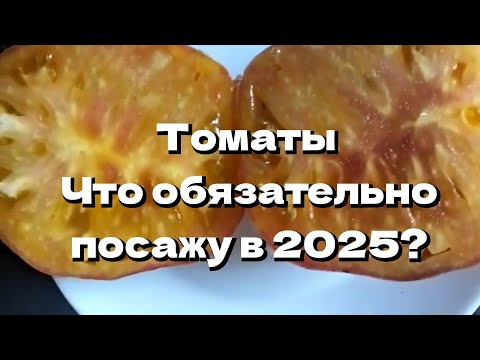 Видео: Томаты 🍅 Часть 2.Итоги сезона 2024.Что обязательно посажу в следующем году?