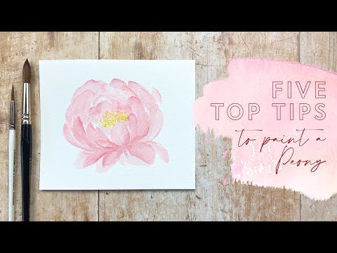 Видео: Пять лучших советов по рисованию пиона акварелью