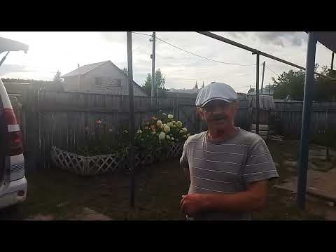 Видео: Конный оборотный плуг для мотоблока.