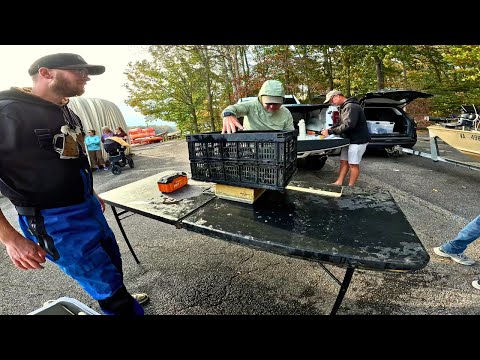 Видео: Нам нужна МЕГАСУШКА, чтобы победить || День 2, Джон Боут, осенняя классика