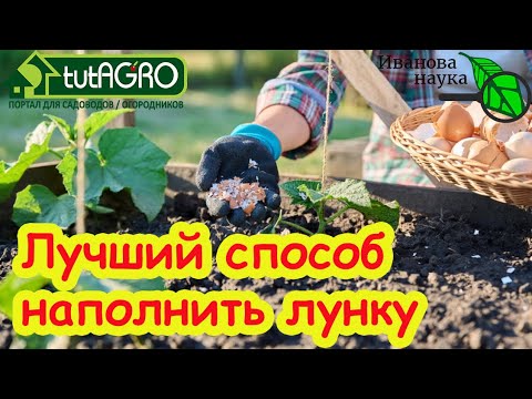 Видео: СДЕЛАЙТЕ ТАК ПРИ ПОСАДКЕ ОГУРЦОВ! ЧТО ПОЛОЖИТЬ В ЛУНКУ ПРИ ПОСАДКЕ ОГУРЦОВ. Огурцы без подкормок.