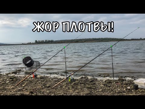 Видео: ОСЕННЯЯ РЫБАЛКА НА ФИДЕР! ЖОР ПЛОТВЫ!
