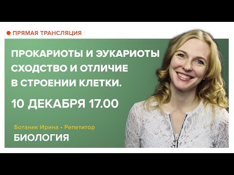 Видео: Биология | Открытый онлайн-урок | Прокариоты и эукариоты - сходство и отличие в строении клетки