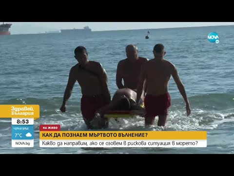 Видео: Как да познаем мъртвото вълнение и какво да направим, ако се озовем в рискова ситуация в морето