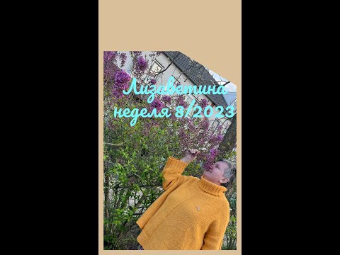 Видео: Лизаветина неделя 8/2023