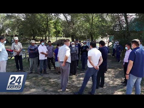 Видео: Жайылым жерімізді өзімізге қайтарсын – Алматы облысы Алтынарық ауылы тұрғындарының талабы
