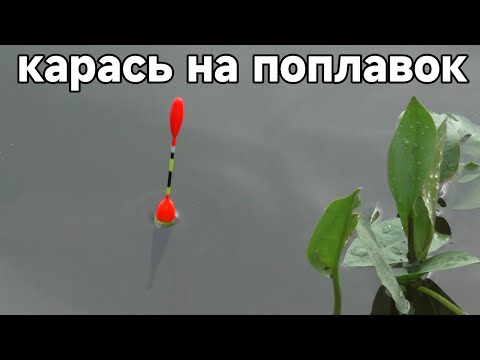 Видео: Рыбалка из детства. Ловля карася на поплавочную удочку в августе 