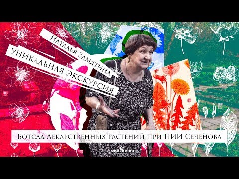 Видео: Наталья Замятина. Съедобные дикорастущие растения. Уникальная экскурсия.