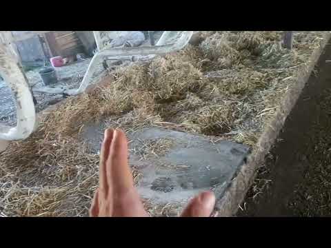 Видео: Работаем меньше, а делаем больше