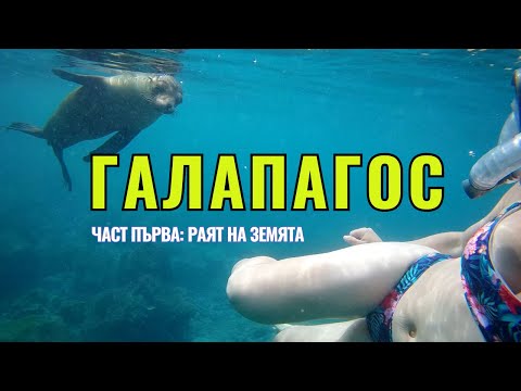 Видео: Галапагос: Раят на Земята (част първа) | Видео №75 от Южна Америка