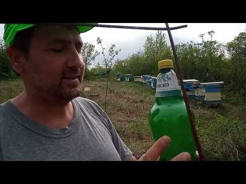 Видео: Капани за Оси и Стършели VID 20240403 164011