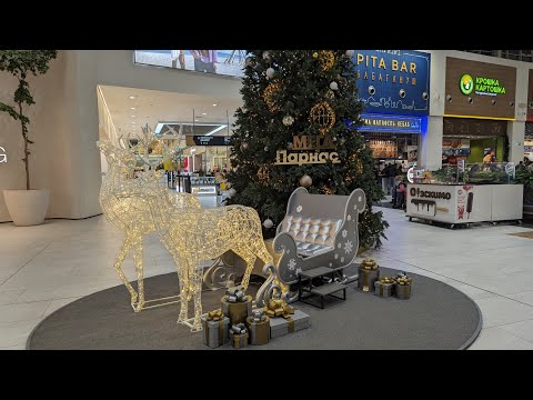 Видео: 02.12.23.прогулочка по Оби Мега Парнас..Орхидеи и не только 🌲🌲🌲