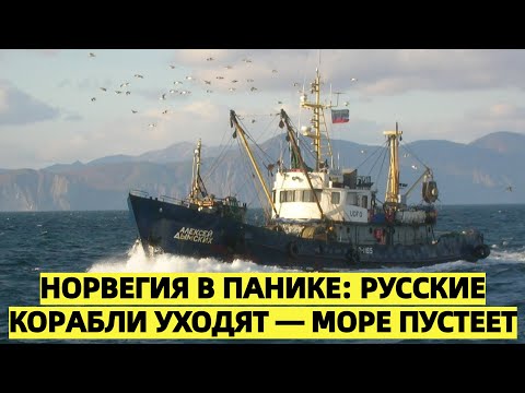 Видео: Норвегия в панике: Русские корабли уходят — море пустеет