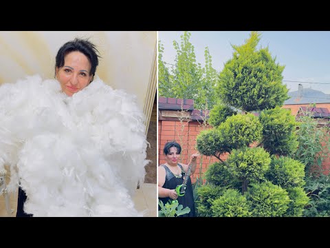 Видео: БАРДАК В ДОМЕ АРУС КАВКАЗ НЕДОПУСТИМ! НАВОЖУ ПОРЯДКИ В ДОМЕ И В САДУ #слюбовью  #арусякавказ