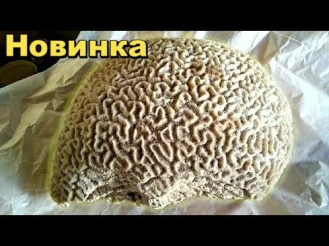 Видео: Многим людям этого не хватает! Топ находок.