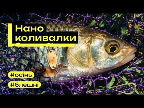 Видео: Наноколивалки і Гамакатсу. Рання осінь на гірській річці. Бистриця Надвірнянська. Головні і окуні.