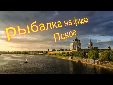 Видео: Рыбалка на фидер, река Великая Псков