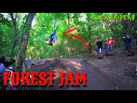 Видео: DIRT FOREST JAM 2025 | ЭКШН, ТРЮКИ И ПАДЕНИЯ