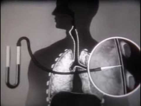 Видео: НаучФильм. Регуляция дыхания