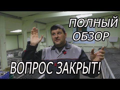 Видео: МОИ КРОЛЬЧАТНИКИ. ОБЗОР ВСЕ ПОМЕЩЕНИЙ ДЛЯ КРОЛИКОВ