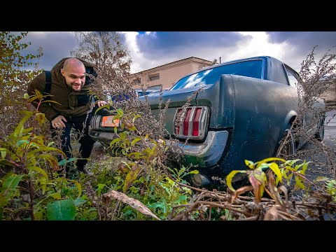 Видео: Купили старый мустанг. Крутая находка!