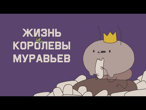 Видео: Edu: Жизнь королевы огненных муравьев