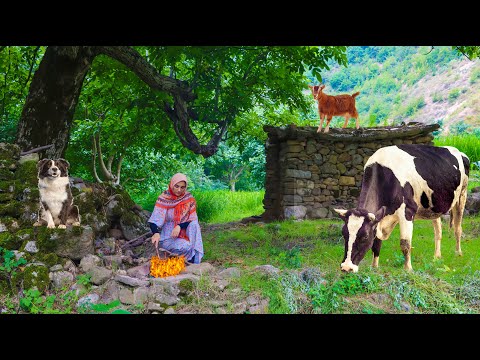 Видео: Деревенская жизнь в Иране | Повседневная деревенская жизнь в горах Ирана