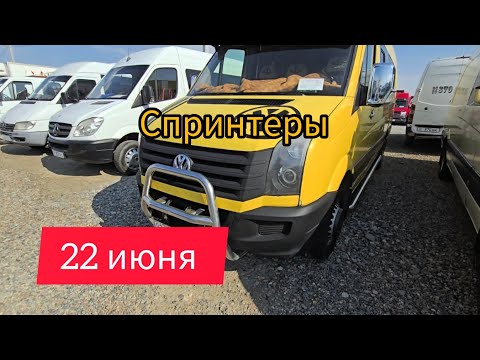 Видео: Авторынок Бишкека на 22 июня. Бусы с кыргызскими номерами