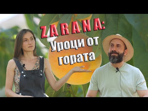 Видео: Системата гори, а природата лекува – разговор за пермакултура със Здравка в ZARANA Forest Garden