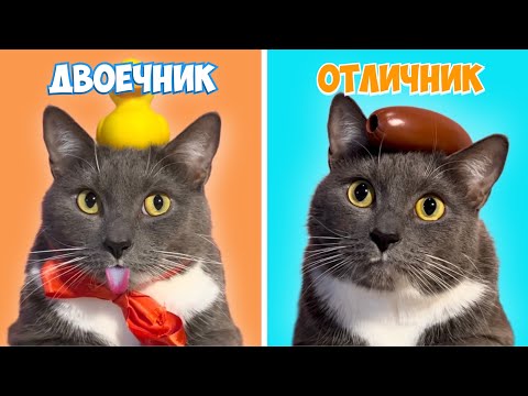 Видео: ТИПЫ УЧЕНИКОВ - ЕСЛИ БЫ КОТИКИ ХОДИЛИ В ШКОЛУ