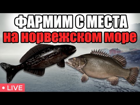 Видео: РР4 • ФАРМИМ СЕРЕБРО НА НОРВЕЖСКОМ МОРЕ  • РОЗЫГРЫШИ • РУССКАЯ РЫБАЛКА 4