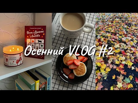 Видео: Осенний книжный VLOG #2