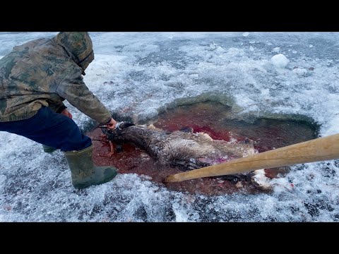 Видео: Путь собирателя Отшельники (30 лет одиночества 78 серия)