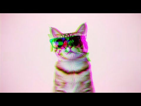 Видео: Кот TikTok (DJ Nise A.I.) #ai #music #artificialintelligence