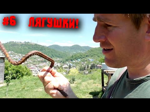 Видео: Лягушки арматурные, укороченный вариант. Сабельная пила DEKO.