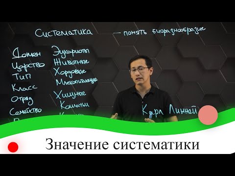 Видео: Значение систематики. 7 класс.