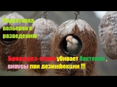 Видео: Подготовка вольеров к разведению Бровадез-плюс средство для дезинфекции помещений, инкубаторов и т.д