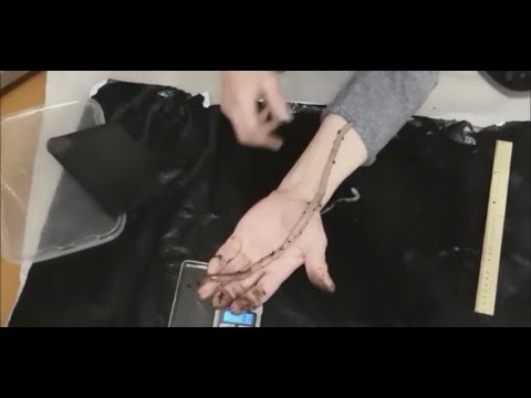 Видео: И вот он, ВАСЯ!!! Смоленский выползок...