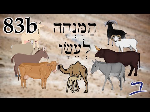 Видео: Иврит - Дар Исаву - Библейский иврит - Урок 83b