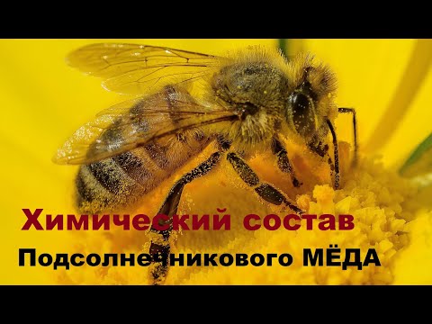 Видео: Химический состав МЕДА с подсолнечника в сравнении с липовым