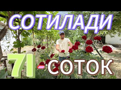 Видео: ЖУДАЯМ АРЗОН 71-СОТОКЛИ ХОВЛИ УЙ-ЖОЙ ЗУДЛИК БИЛАН ЭГАСИДАН СОТИЛАДИ.