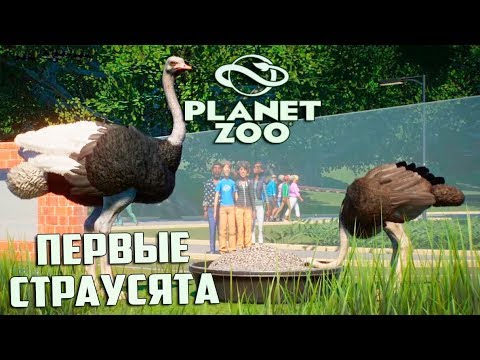 Видео: СТРОИМ ЗООПАРК С НУЛЯ - PLANET ZOO Франшиза #1