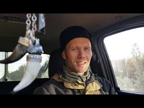 Видео: Охота на волка петлями. Канадский метод/Hunting for a wolf with loops. Canadian method