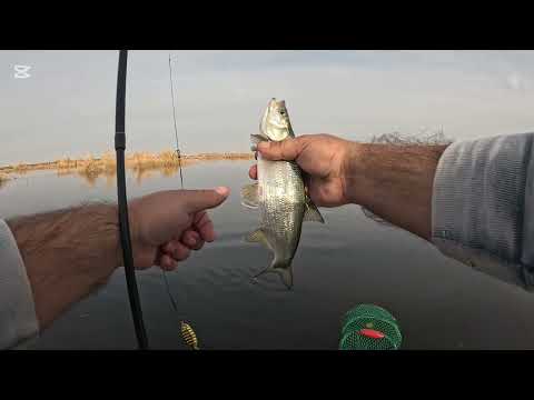 Видео: ОЗЕРО В СЕТЯХ ЧАСТЬ 2