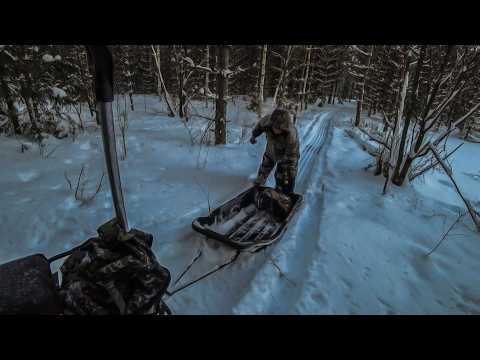 Видео: Стройка в лесу: хижина, балаган и самодельный снегоход.