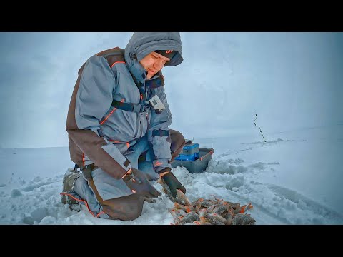 Видео: ПРОБУРИЛ ЛУНКУ НАД СТАЕЙ ГОЛОДНЫХ ОКУНЕЙ!!! КЛЕВ, КАК НА ПЕРВЫЙ ЛЕД! Ловля окуня на балансир зимой.