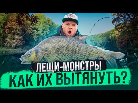 Видео: ЛЕЩИ-МОНСТРЫ КАК ИХ ВЫТЯНУТЬ?