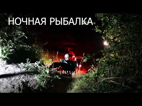 Видео: Ночная рыбалка на реке / Северский Донец