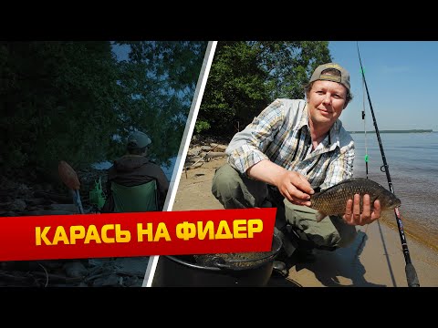 Видео: Карась на фидер в начале лета : Про рыбалку с нижегородцами.
